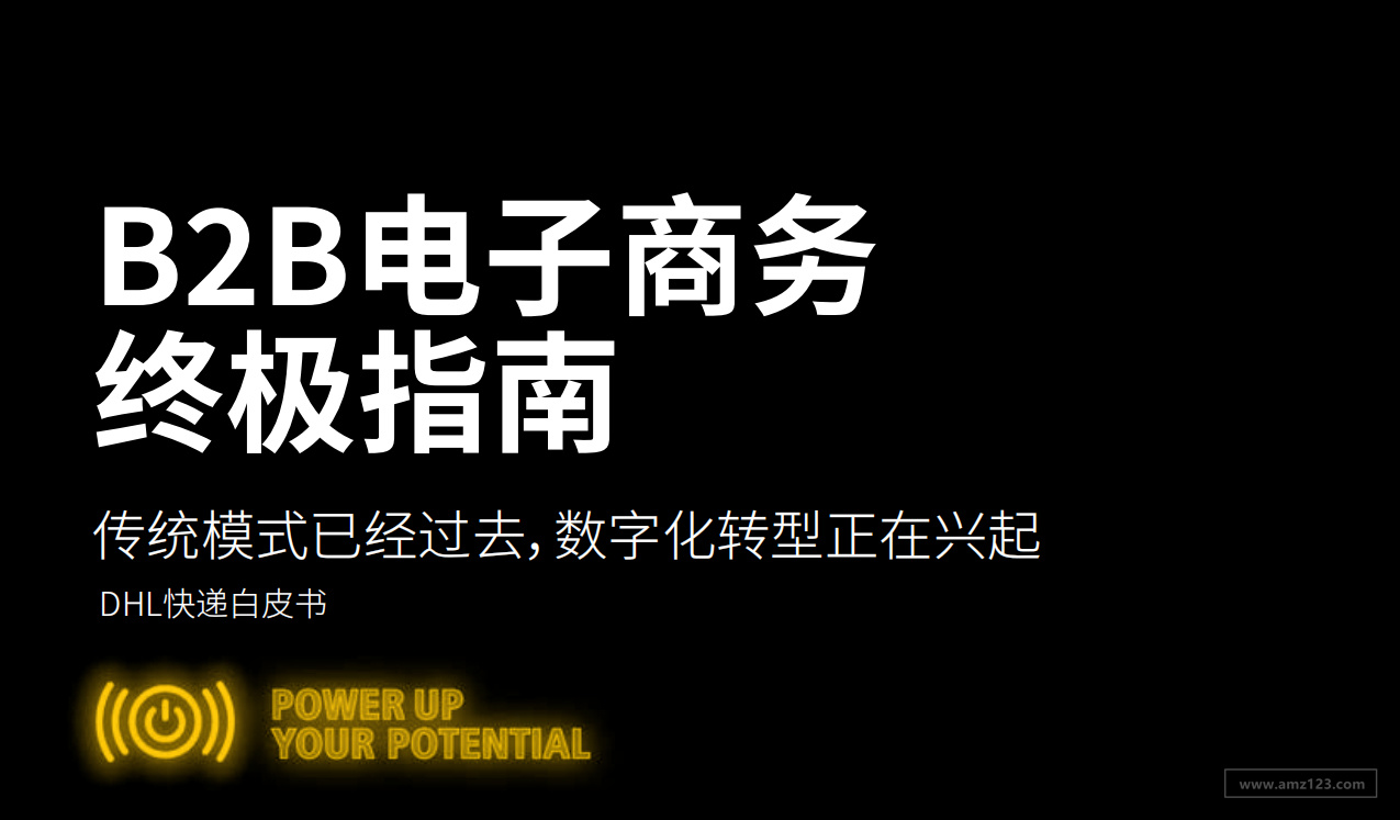 《B2B电子商务终极指南》PDF下载