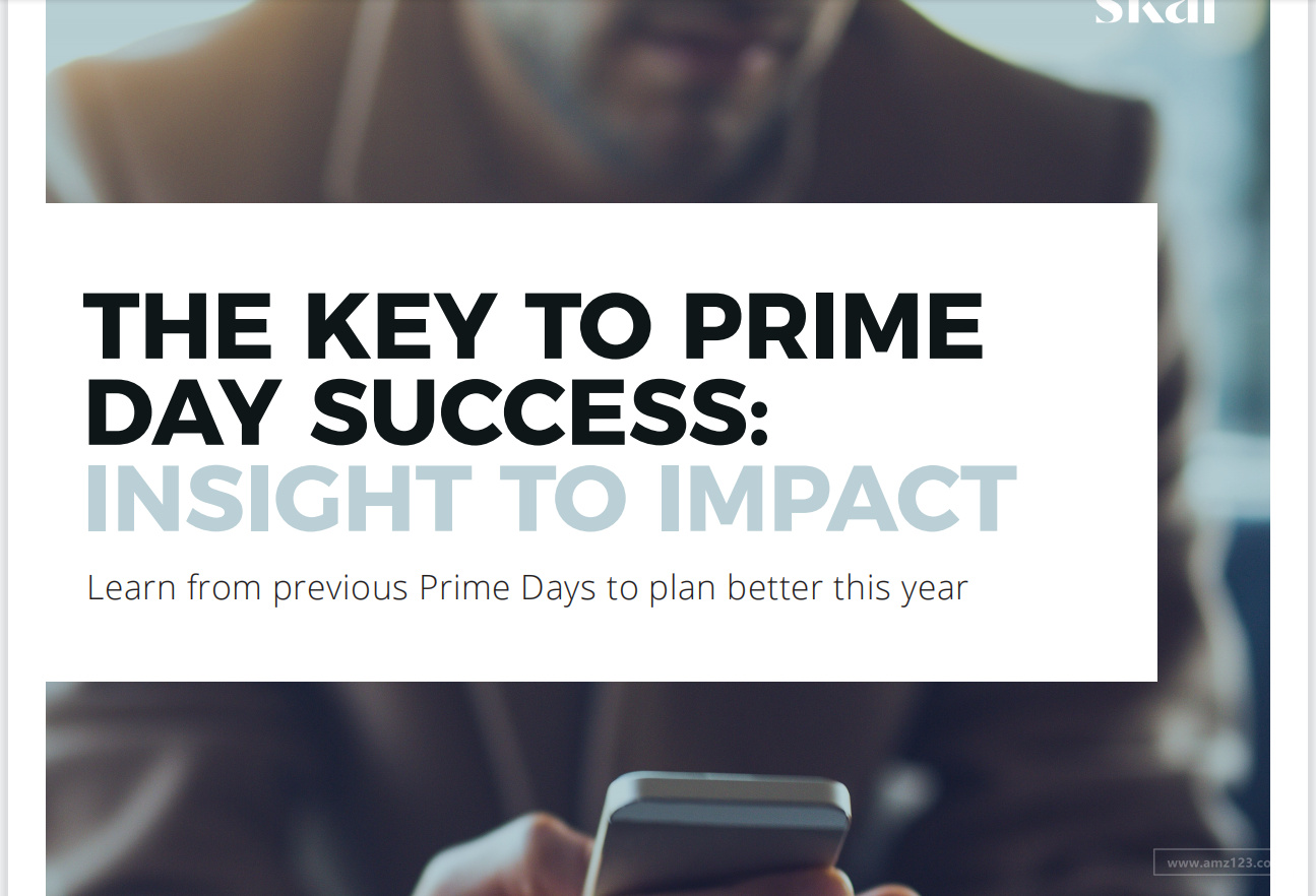 《PrimeDay成功的关键：洞察力-英文版》PDF下载