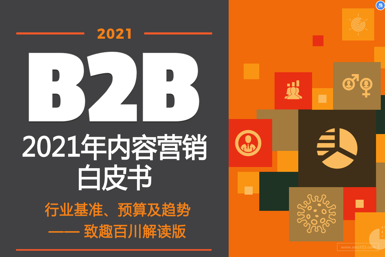 《2021年B2B内容营销白皮书》PDF下载