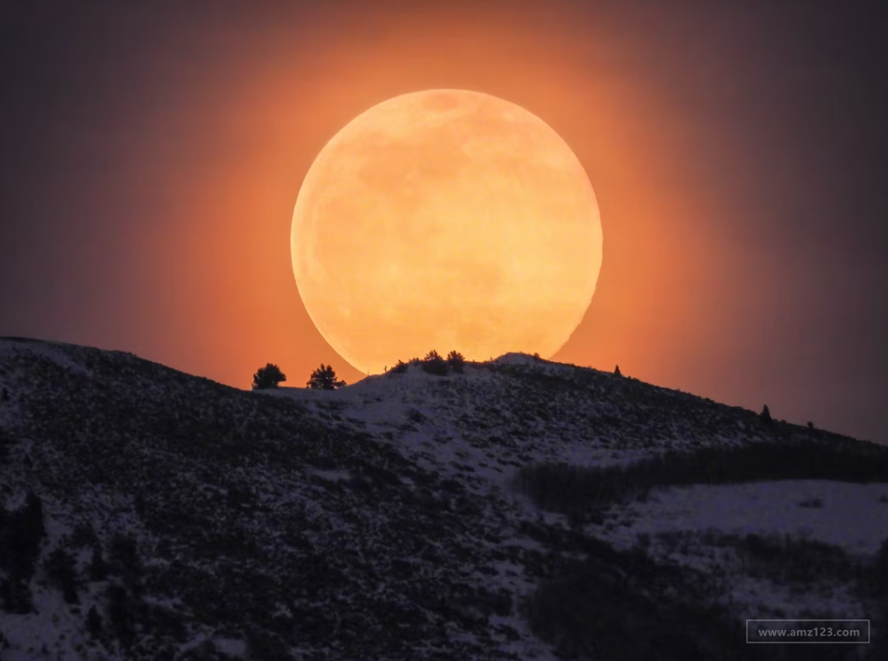 ebay平台的来源是什么？有哪些合作物流？