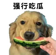 图片1.png 图片