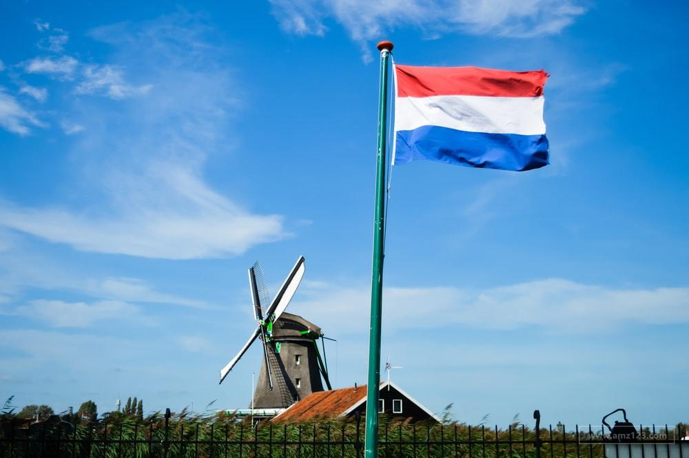  荷兰电商平台Bol.com一季度营收13亿欧元！卖家数量增至4.9万名！