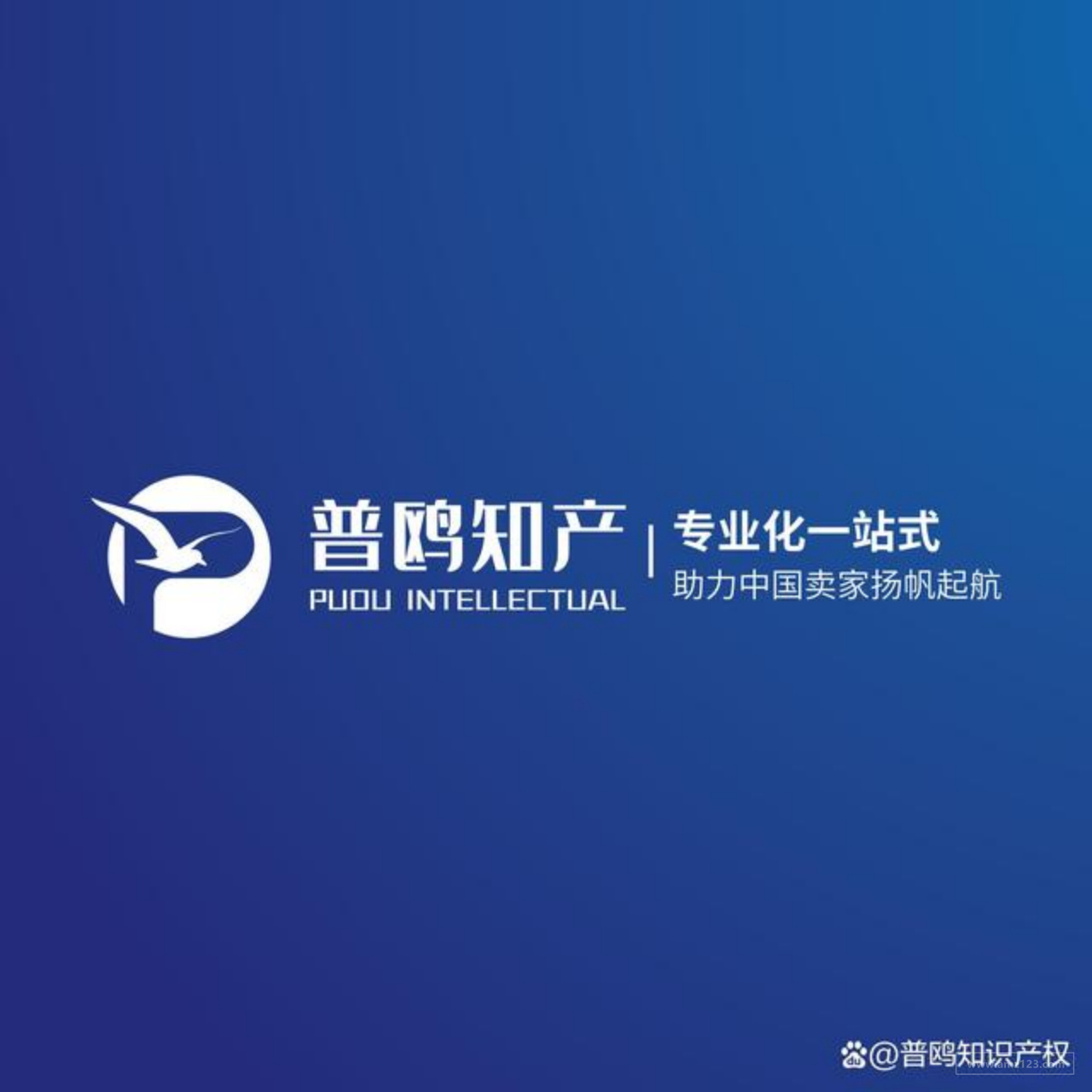 普鸥知识产权-专注跨境一站式服务