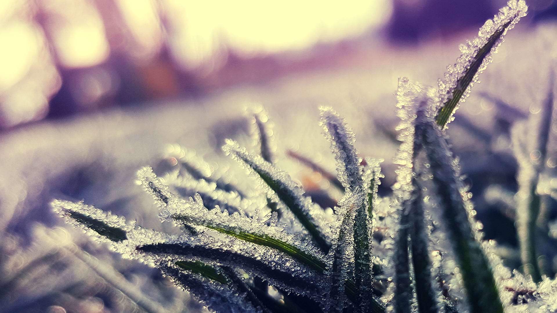 亞馬遜風(fēng)控這么嚴(yán)格，還有必要做測評嗎？測評理論極致詳解！
