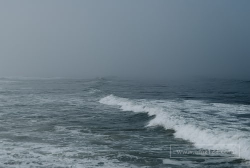 皇家物流的南美物流如何？有哪些服务优势？