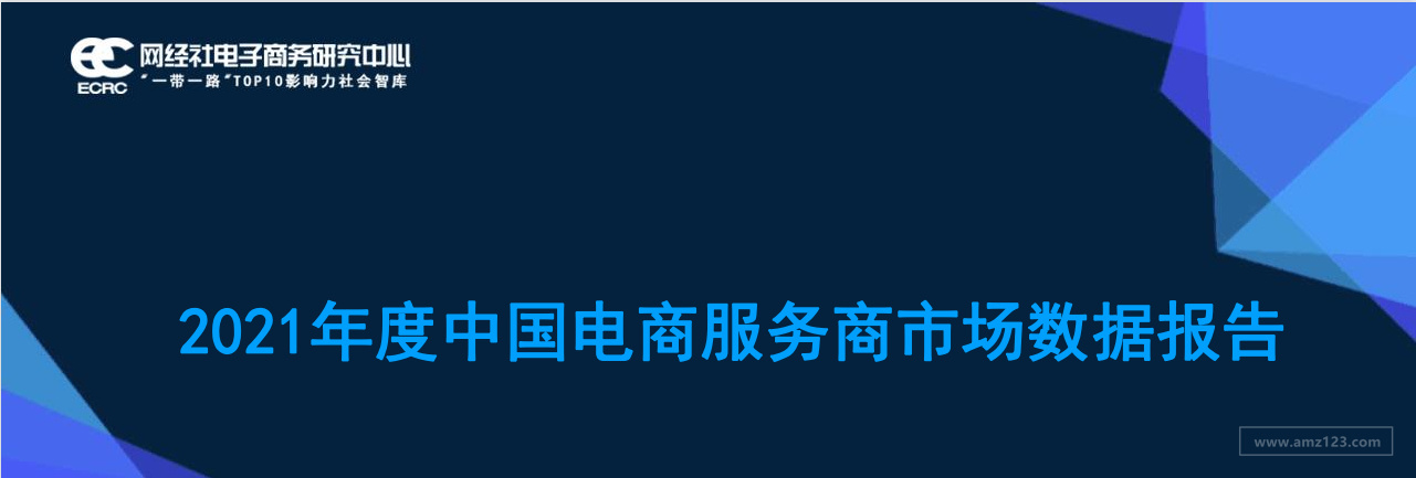 《2021年度中国电商服务商市场数据报告》PDF下载