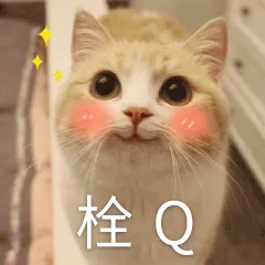 栓Q.png 图片