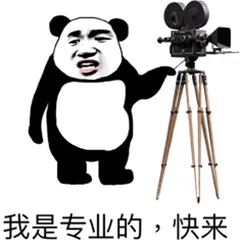 我是专业的.png 图片