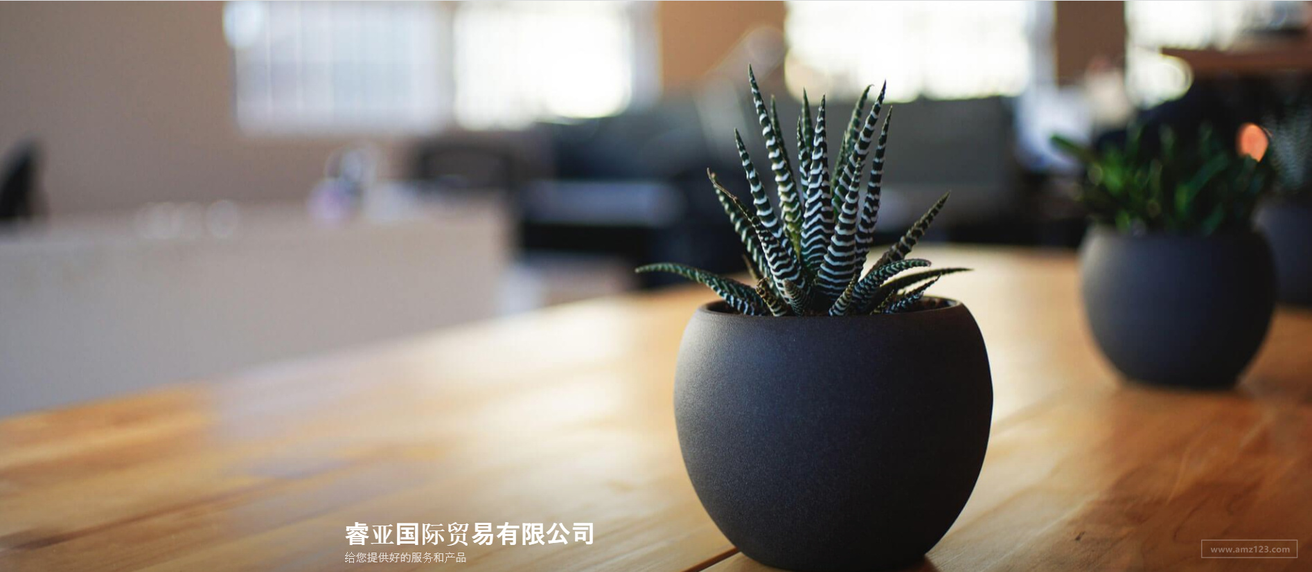 睿亚国际贸易有限公司