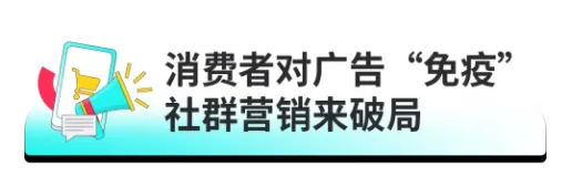 TikTok广告形式 图片