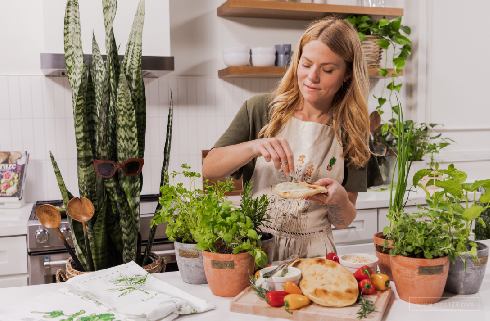 美国园艺品牌Lively Root完成400万美元种子轮融资！