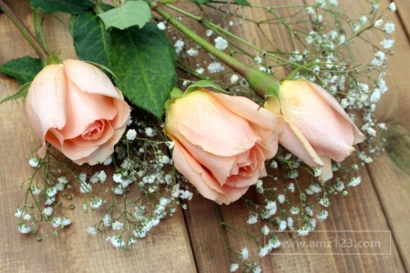 日本对外贸易有什么特点？对日开展贸易合作应注意什么？