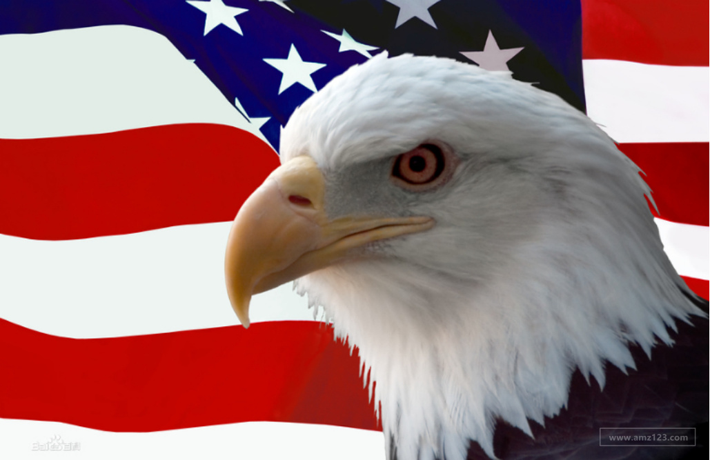 普鸥知识产权|个人如何注册美国商标 ？注册美国商标需要哪些资料？对于企业来说优势在哪里？注册费用是多少？