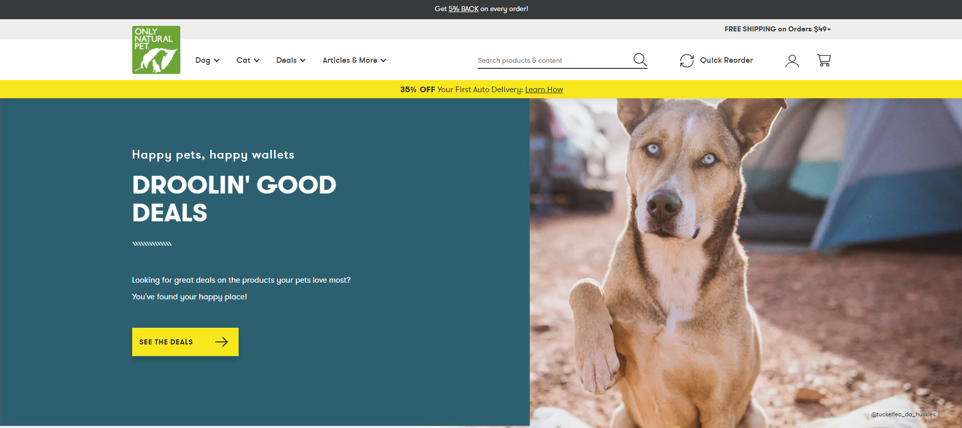 Only Natural Pet Store