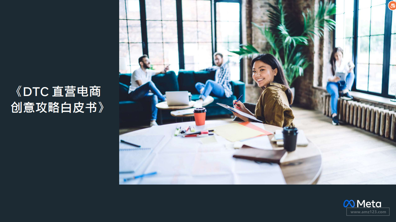 《DTC直营电商创意攻略白皮书》PDF下载