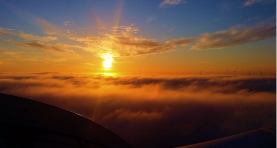 wish热门标签有哪些？有什么使用技巧？