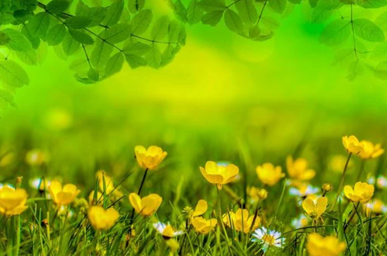 SONCAP认证有什么用处？哪几种方式可以申请SONCAP证书？