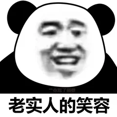 老实人.png 图片