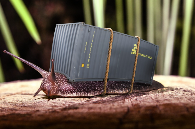 亚马逊版权侵权包括哪些方面？怎样避免侵权风险？