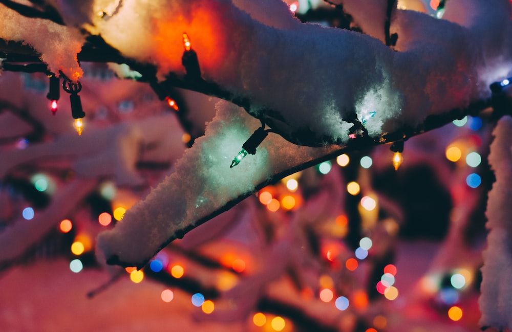 白色圣诞树周围的各种颜色灯串