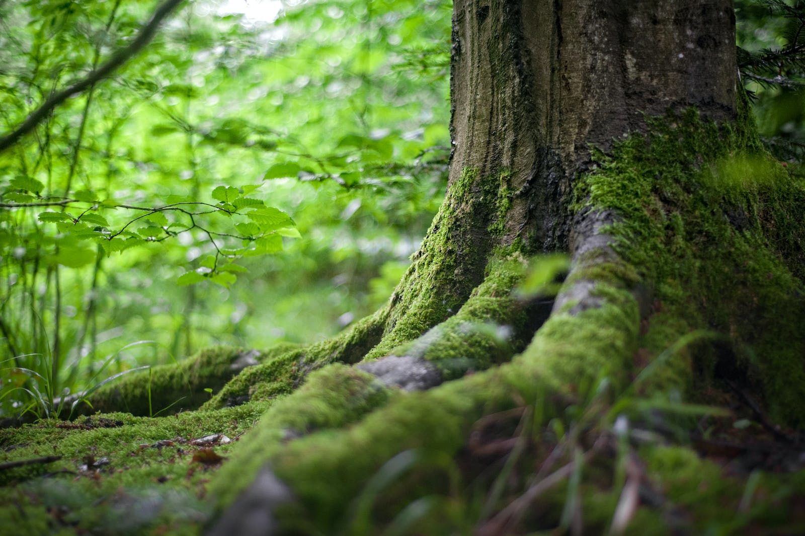 亚马逊各种秒杀类型都适用于哪些场景？做秒杀时要注意哪些要点？