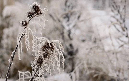 亚马逊如何上传变体？变体合并被拆分的原因有哪些？