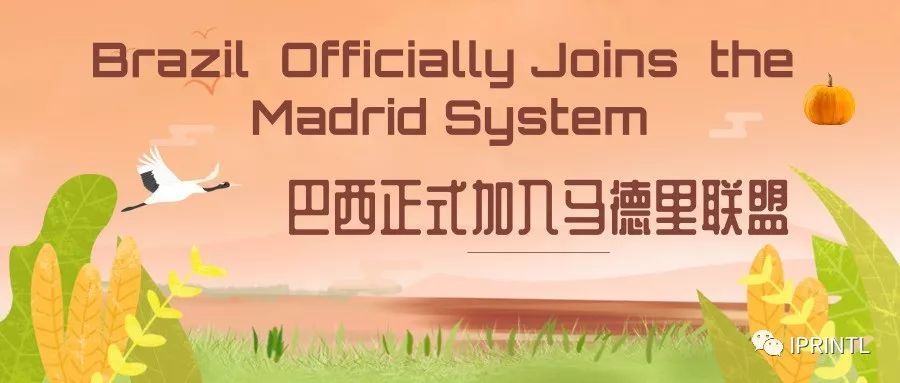 巴西正式加入马德里联盟