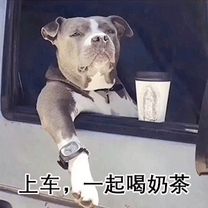 亚马逊各类新卖家现状，看下你是哪种？