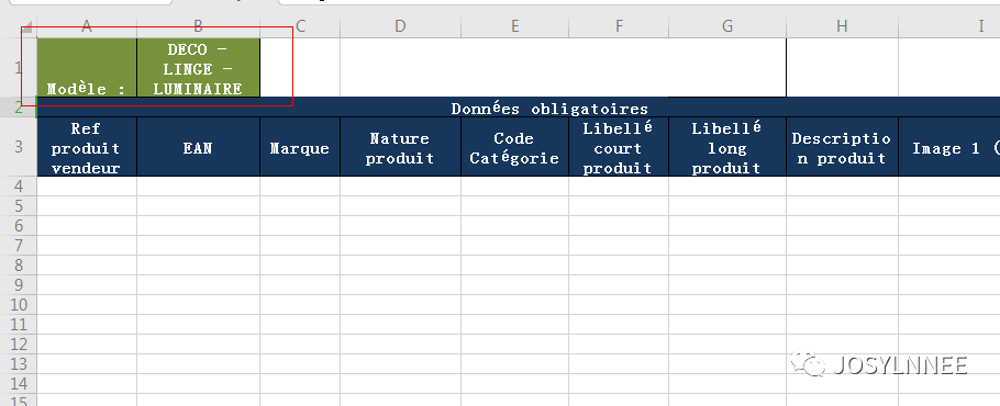 如何在Cdiscount批量产品上传 - 实操l'option simplifiée