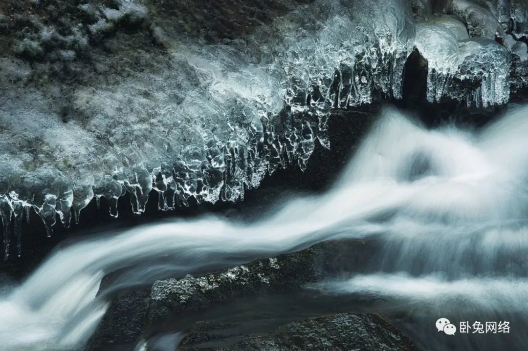 网红营销的力量和影响力度