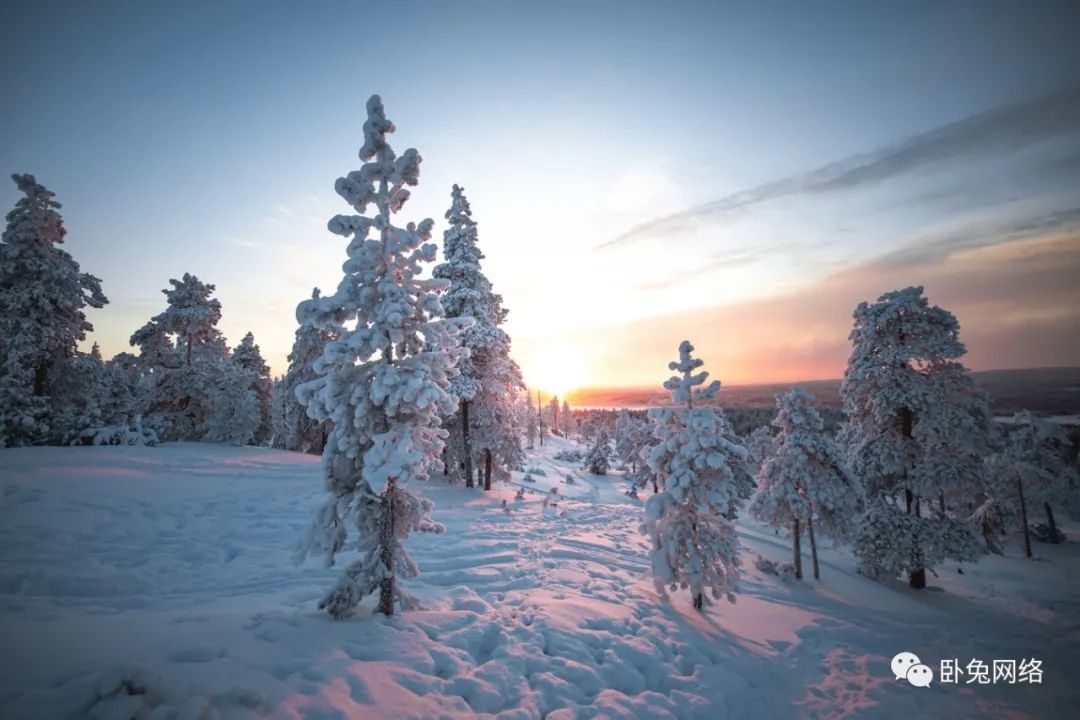 TikTok上如何进行网红营销