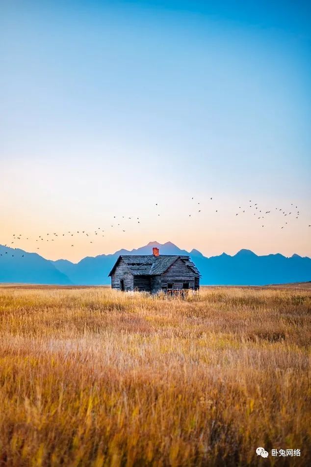 网红营销中经常遇到的挑战