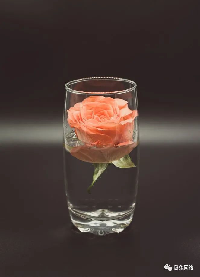 创建出色亚马逊直播（Amazon Live）的最佳方法