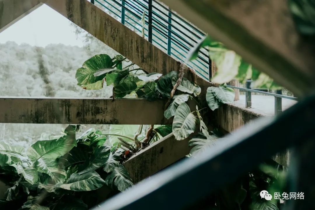 TikTok以有趣的方式展示您的产品或服务