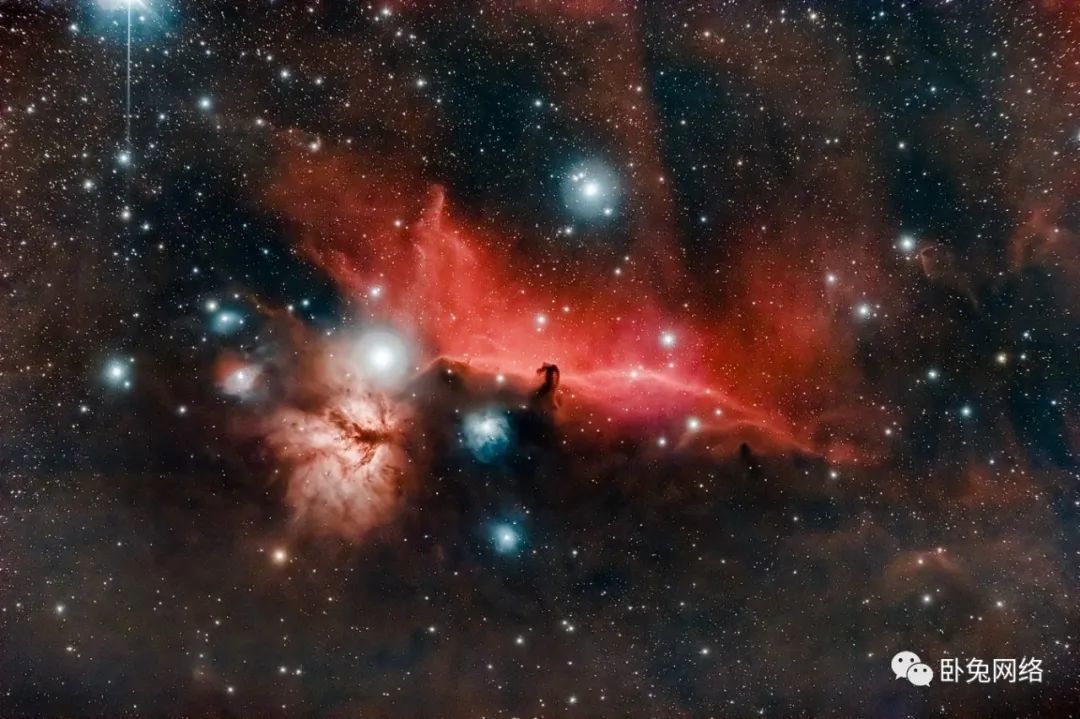 2020年有关亚马逊10条有意思的信息统计