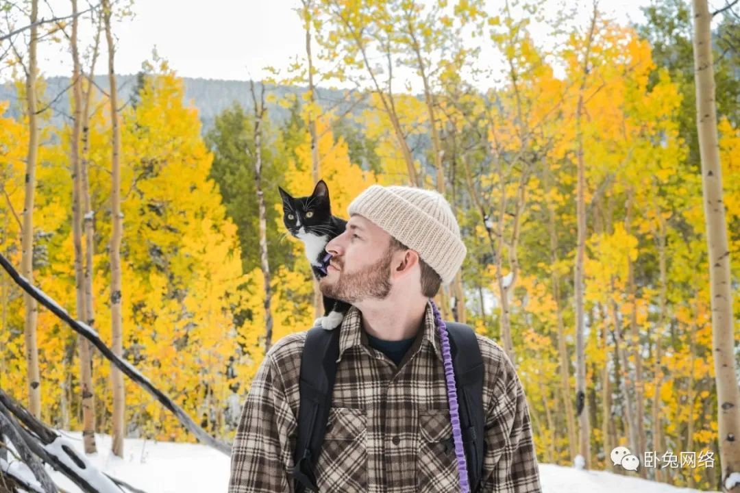 进行亚马逊直播时的积极建议