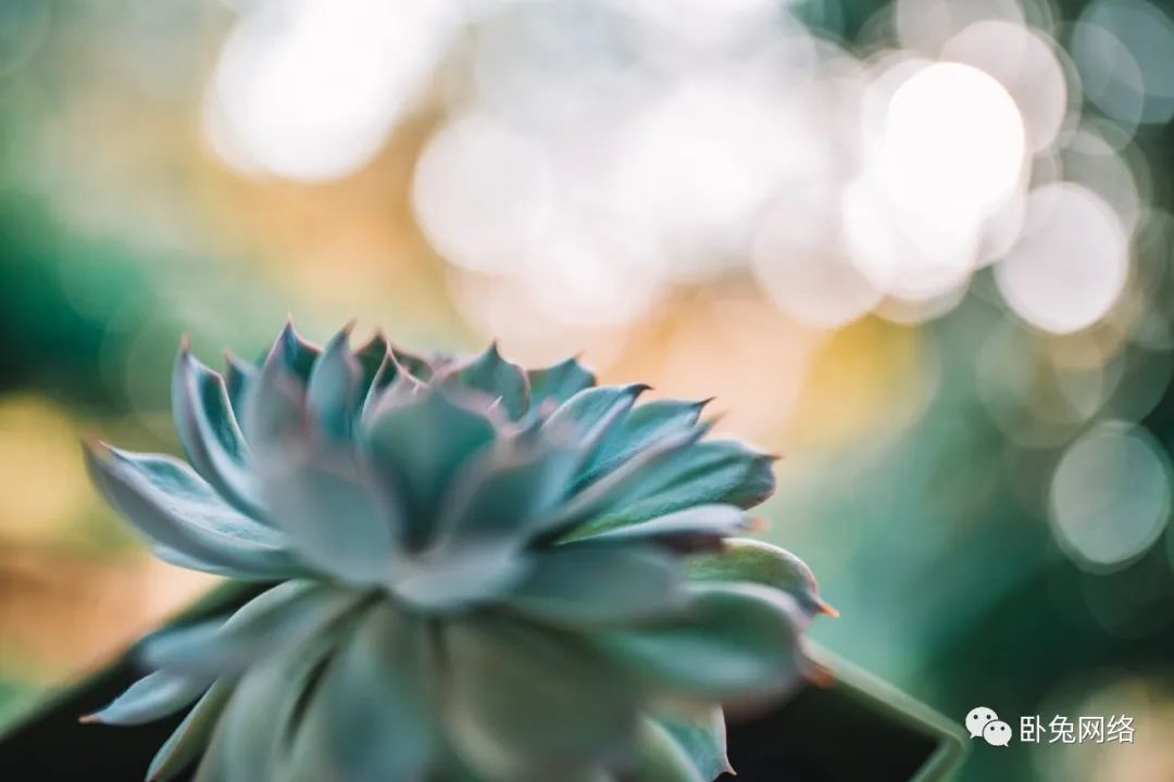 为什么直播带货如此受欢迎？