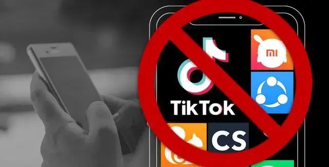 又一 “TikTok 替代者” 崛起，亮出“新武器” 死磕印度市场！