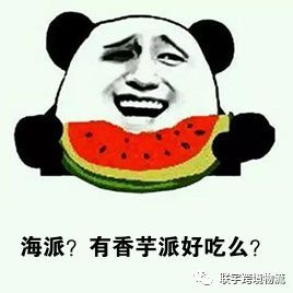 海派是个”坑“？