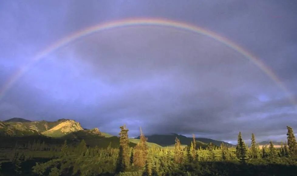 错过东盟，遗憾终生！