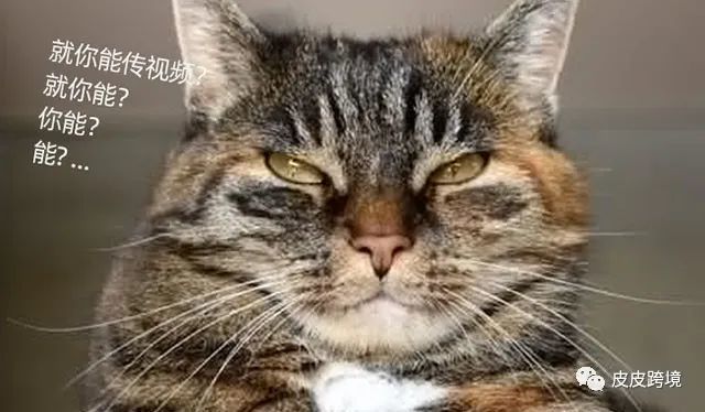 还不会上传亚马逊主图视频？赶紧学习一下，提高商品页面转化率