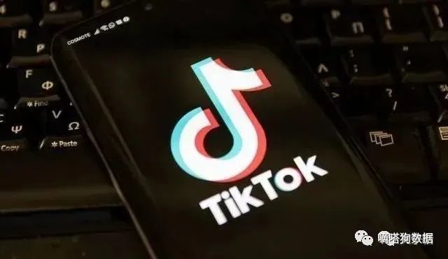 为什么说TikTok是2021必须赶上的“风口”？打通电商引流四种玩法！