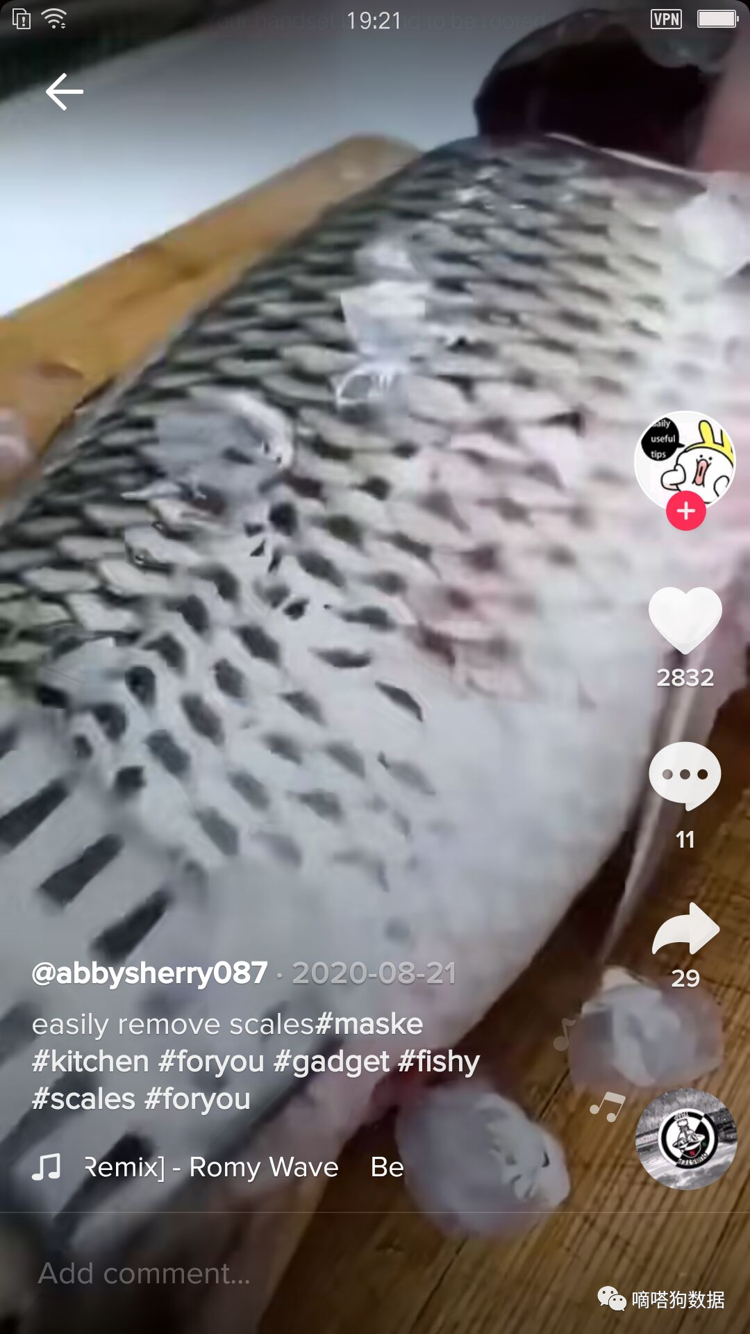 你的TikTok为何总被限流？四步排查漏洞，推高流量