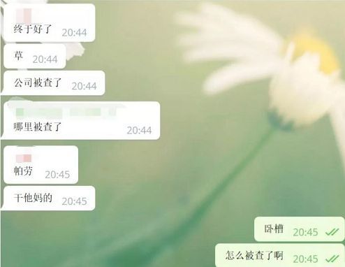 帕劳菠菜被查！员工警察局举报公司，卷款20万逃跑！