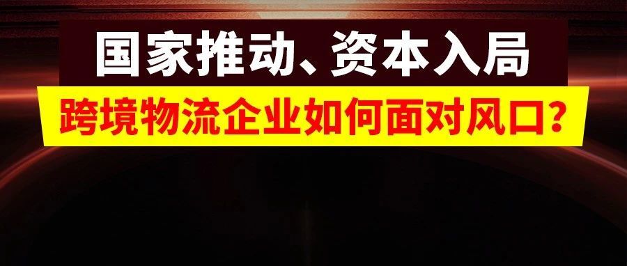 CNE 上了鹰熊汇头条引人关注！CNE 推出多条新路线产品 低价质优加码跨境物流市场！