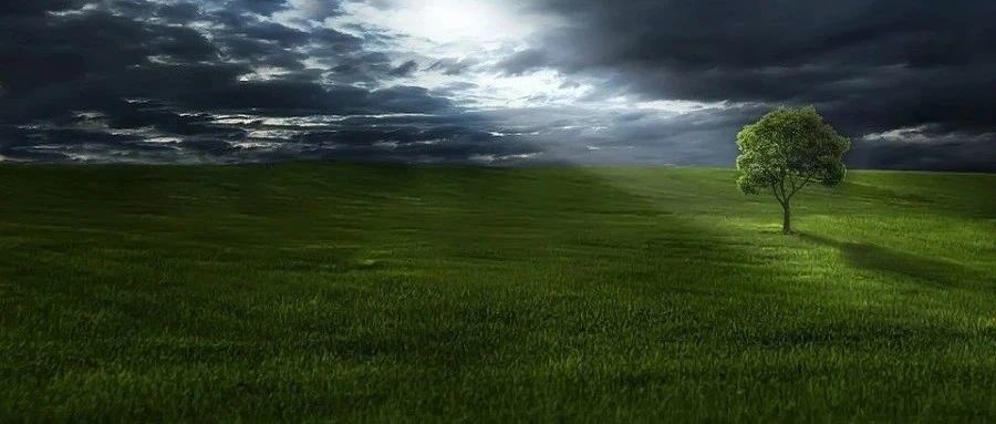 “我是做国际物流的，今年赚了一个亿！”