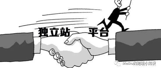 都2021年了，还在纠结做亚马逊还是做独立站？