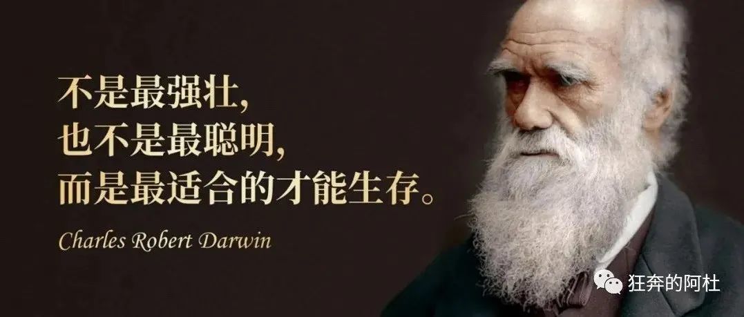 2021年随笔：花有重开日，人无再少年，不须长富贵，安乐是神仙。（四）