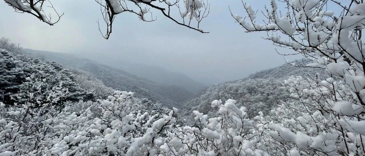 莫慌，iOS14更新，投放方案迟早会有的