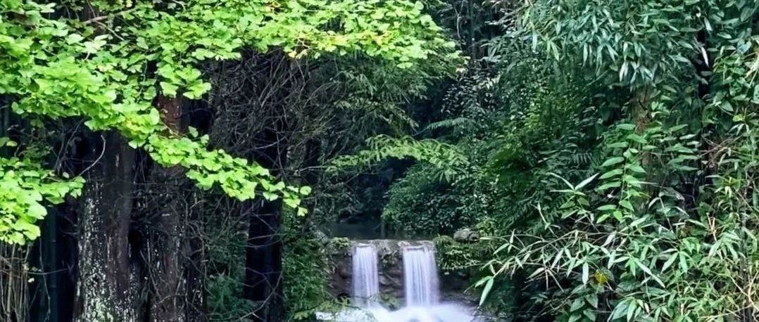 为什么Facebook广告素材审核，怎么处理？